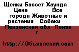 Щенки Бассет Хаунда  › Цена ­ 25 000 - Все города Животные и растения » Собаки   . Пензенская обл.,Пенза г.